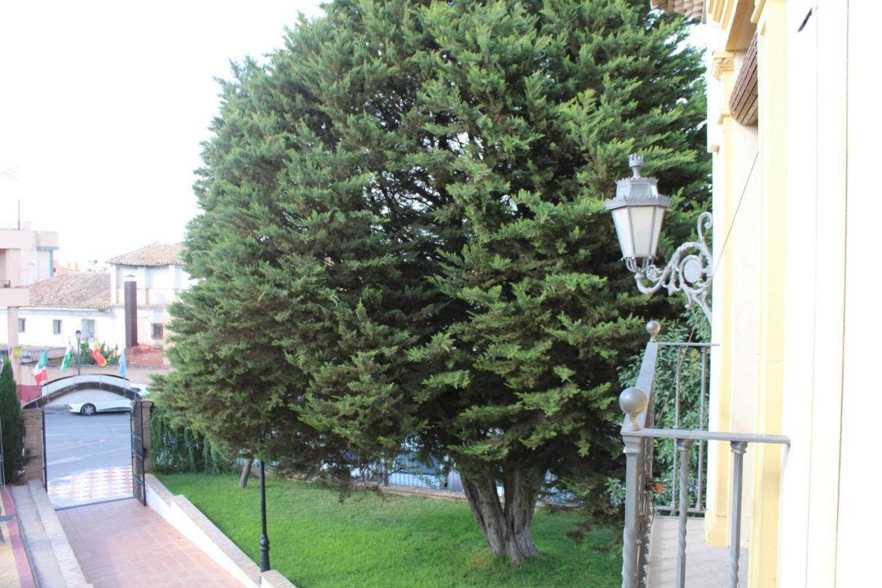 Hotel La Zubia , Granada מראה חיצוני תמונה